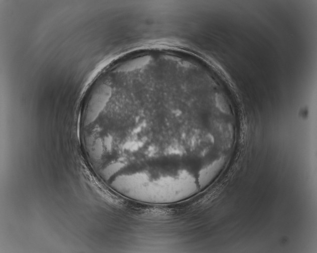 X0000116001224200912101309