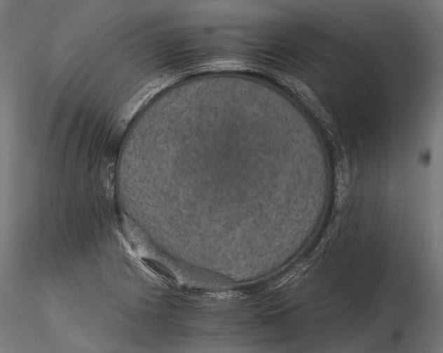 X0000116001225200912101309