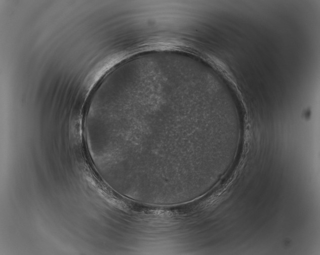 X0000116001226200912101309