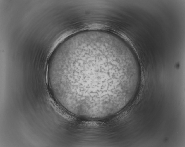 X0000116001227200912101309