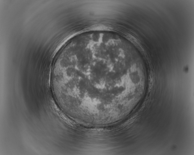 X0000116001228200912101309