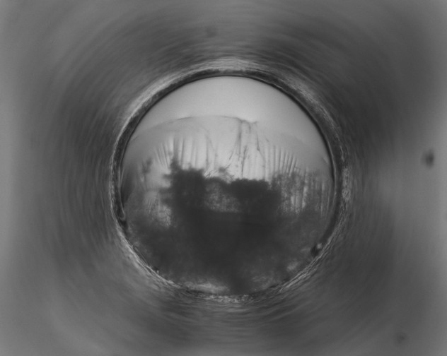 X0000116001229200912101309