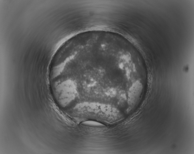 X0000116001230200912101309