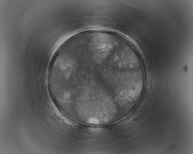 X0000116001231200912101309