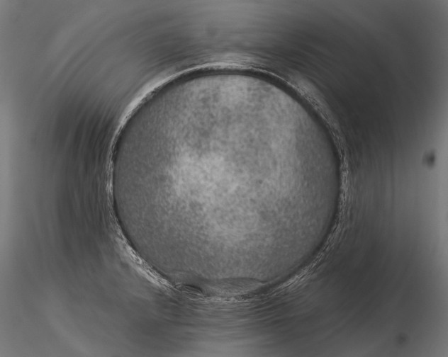 X0000116001232200912101309