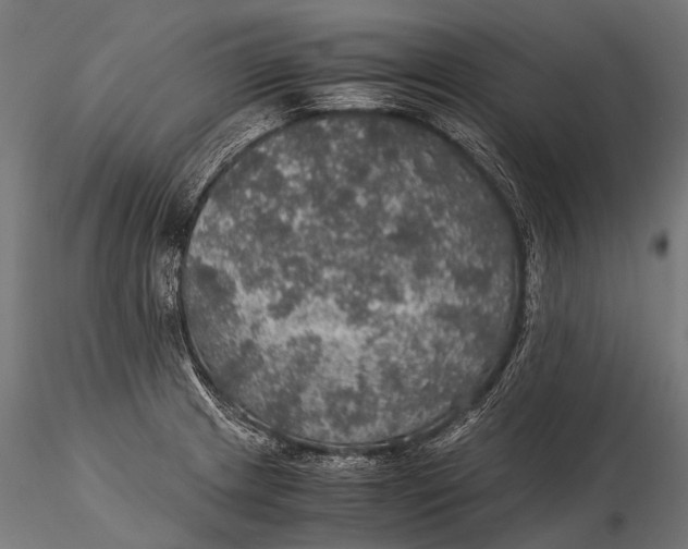 X0000116001233200912101309