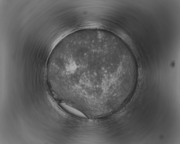 X0000116001234200912101309