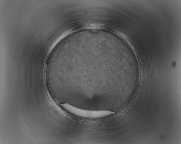 X0000116001235200912101309