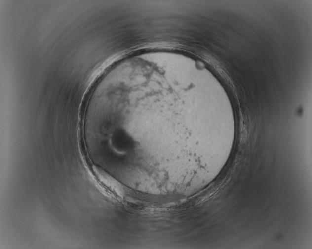 X0000116001237200912101309