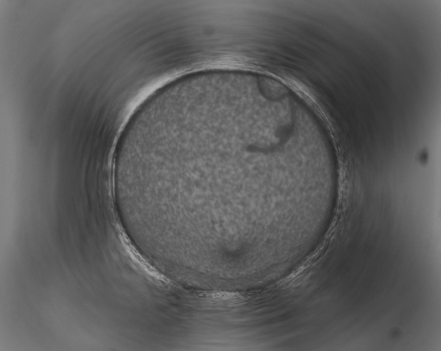 X0000116001238200912101309