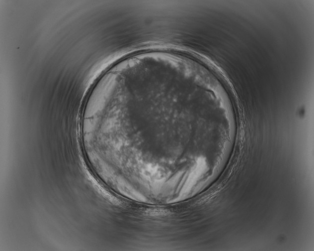 X0000116001239200912101309