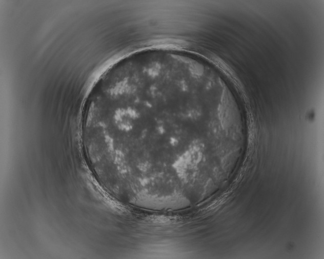 X0000116001240200912101309