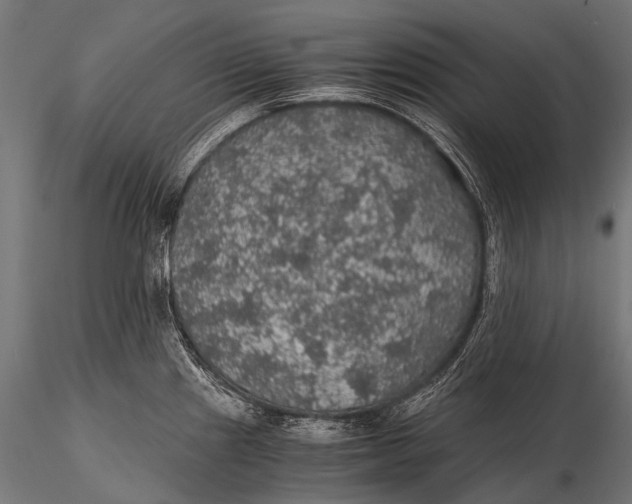 X0000116001241200912101309