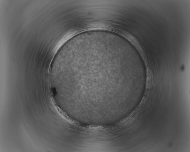 X0000116001242200912101309