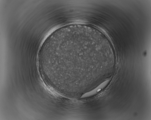 X0000116001243200912101309