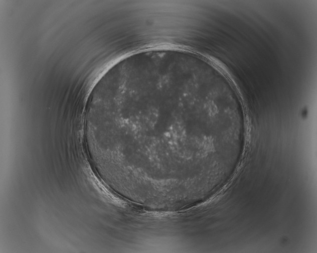 X0000116001244200912101309