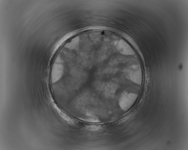 X0000116001245200912101309