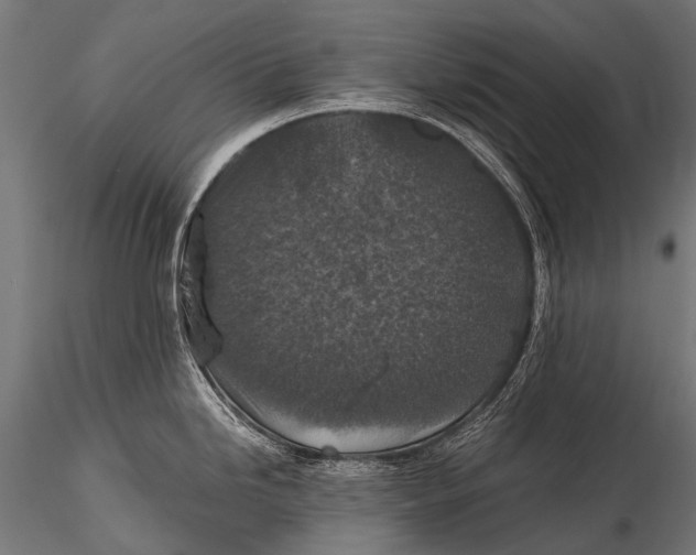 X0000116001246200912101309