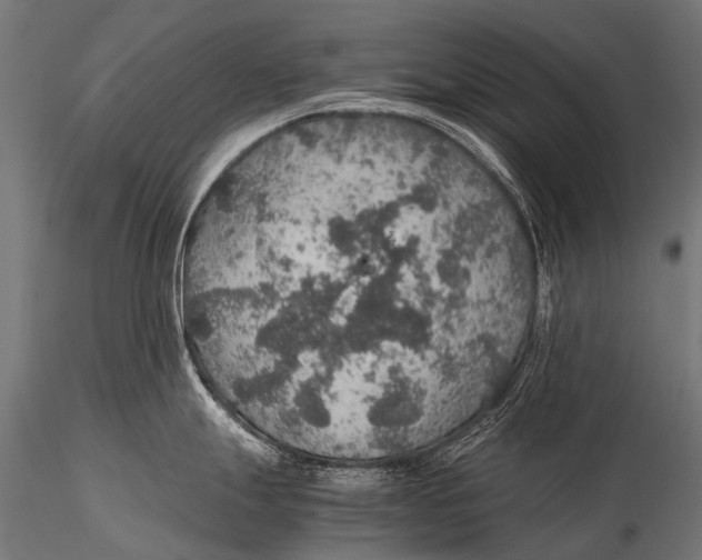 X0000116001247200912101309