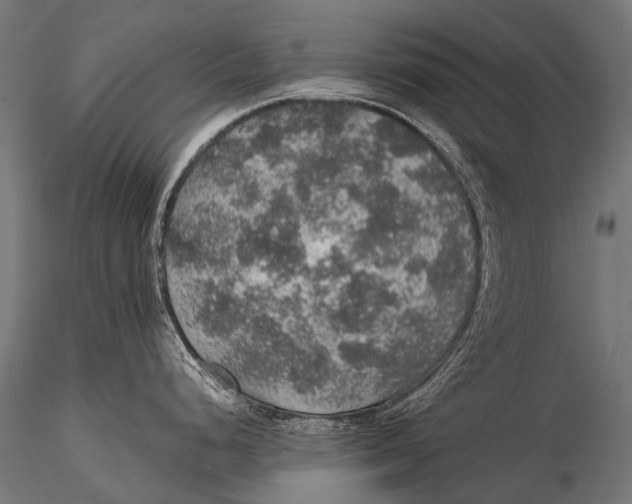 X0000116001248200912101309