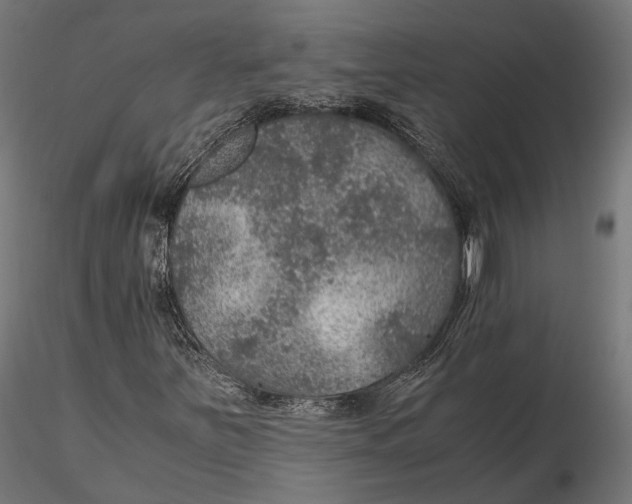 X0000116001251200912101309