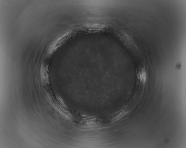 X0000116001252200912101309