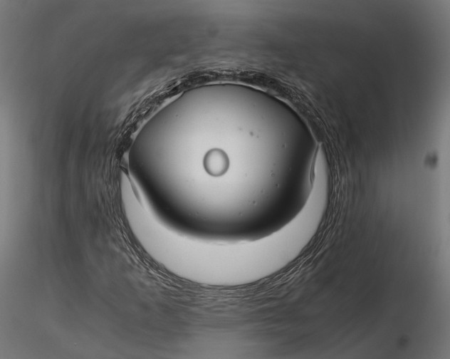 X0000116001253200912101309