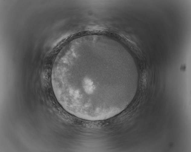 X0000116001254200912101309