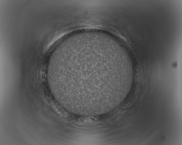 X0000116001255200912101308