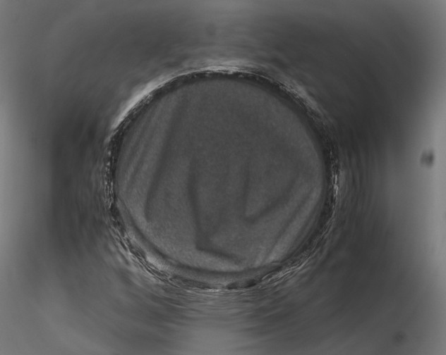 X0000116001256200912101308