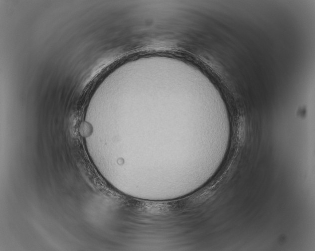 X0000116001258200912101308