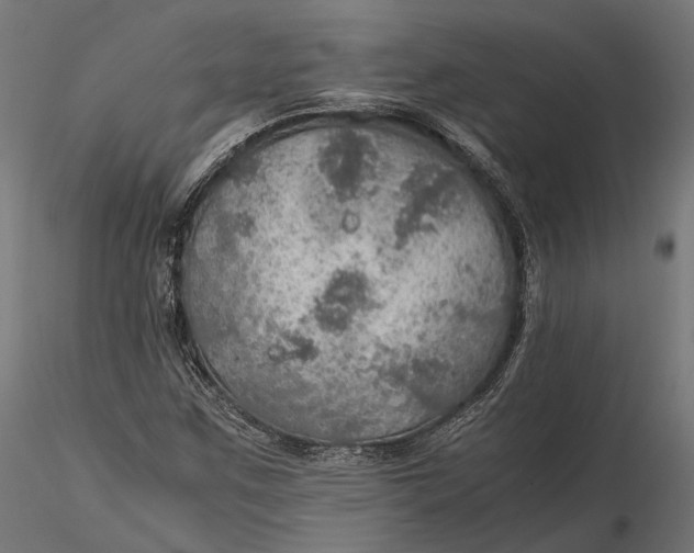 X0000116001259200912101308