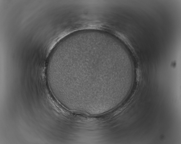 X0000116001260200912101308