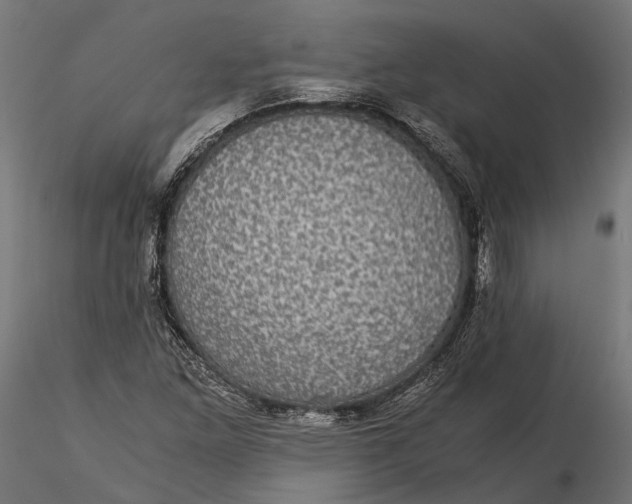 X0000116001261200912101308