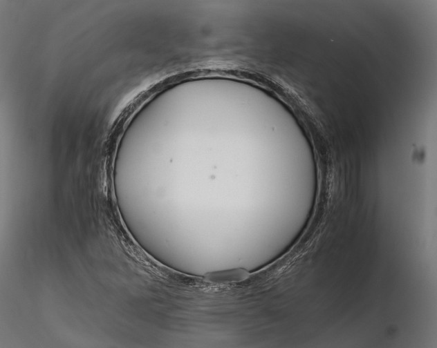 X0000116001262200912101308