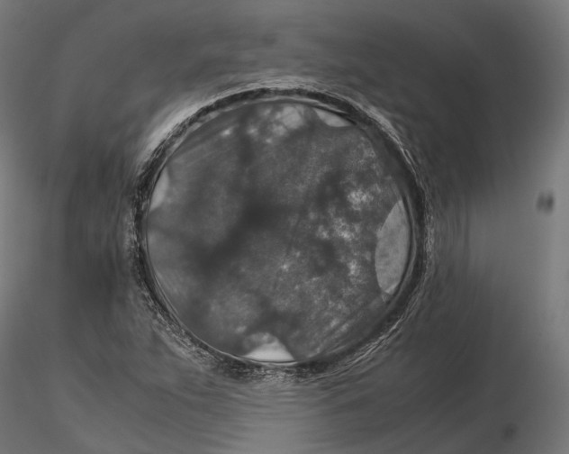 X0000116001263200912101308