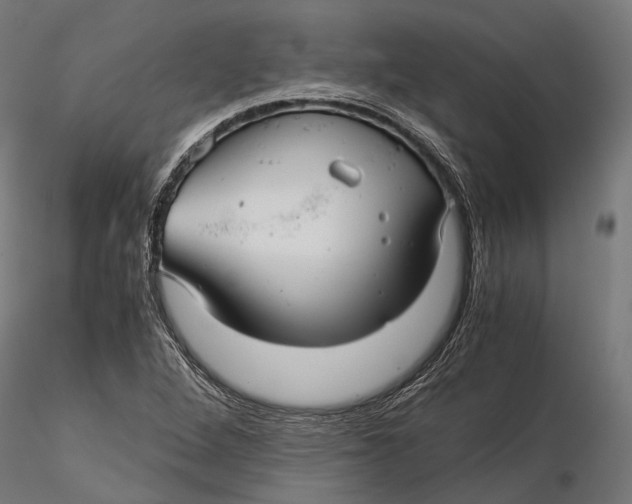 X0000116001264200912101308