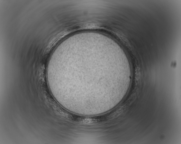 X0000116001265200912101308