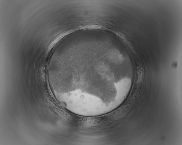 X0000116001266200912101308