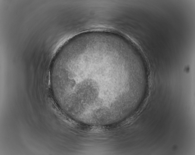 X0000116001267200912101308