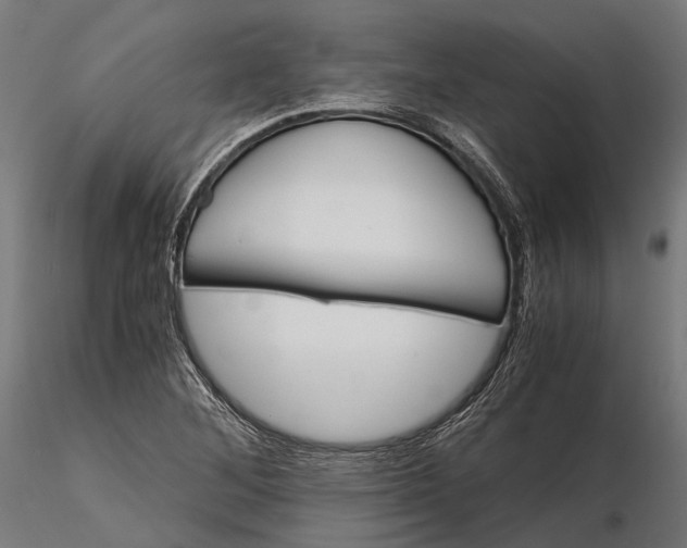 X0000116001268200912101308