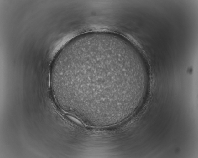 X0000116001269200912101308