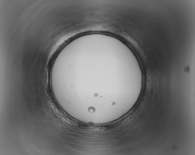 X0000116001270200912101308