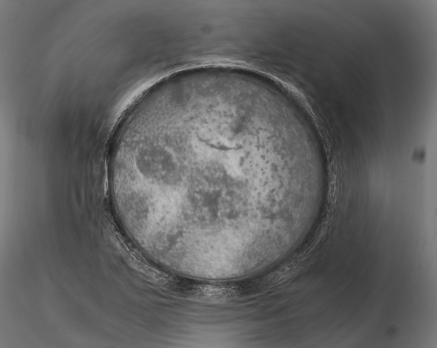 X0000116001271200912101308