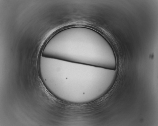 X0000116001272200912101308