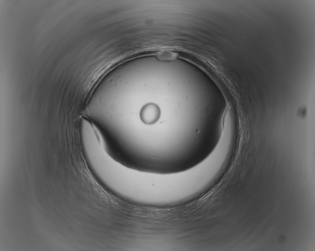 X0000116001273200912101308