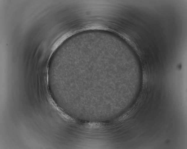 X0000116001274200912101308