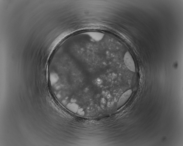 X0000116001275200912101308