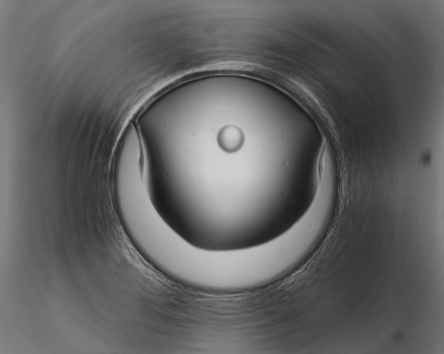 X0000116001276200912101308