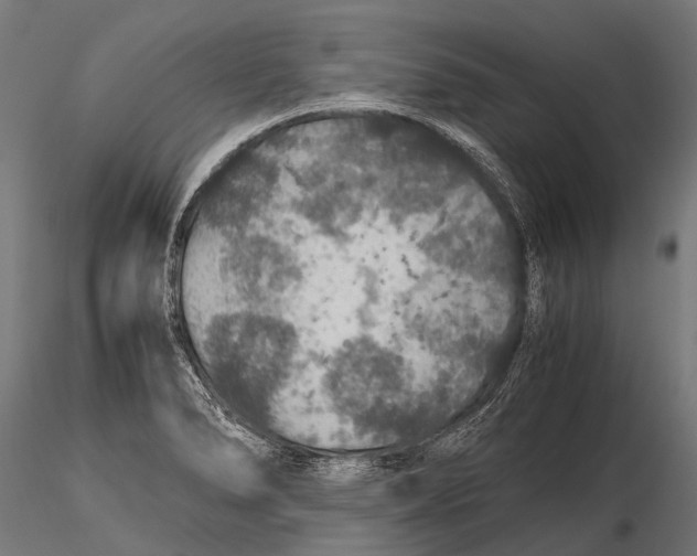 X0000116001278200912101308